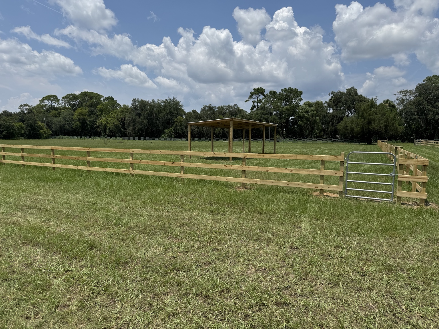 Pasture Fence & Lean-To